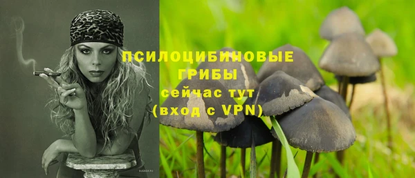 а пвп мука Баксан