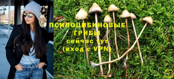 а пвп мука Баксан