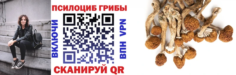 Псилоцибиновые грибы ЛСД  Губкинский 